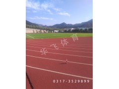 江西省新余市塑膠跑道|塑膠跑道廠(chǎng)家