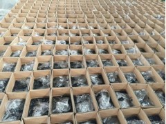灌縫膠  批發供應廠商熠道科技值得