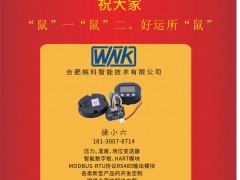 皖科智能總經(jīng)理 張從江 2020新春寄語(yǔ) 一百零八星報(bào)喜之天魁星