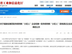 喜獲殊榮！虹潤公司榮膺國家專精特新“小巨人”企業稱號