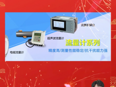 武漢松野智能儀表有限公司 總經(jīng)理 陳龍軍  2024年新春寄語(yǔ)