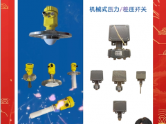 北京北方華瑞測(cè)控技術(shù)有限公司 銷售總監(jiān) 楊子 2024年新春寄語(yǔ)